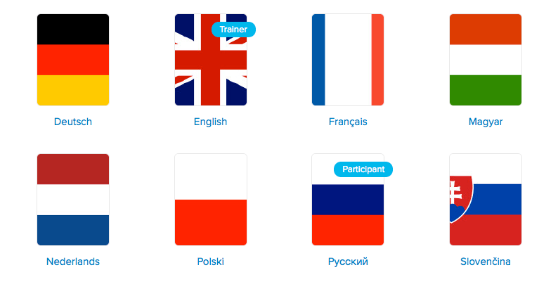 Multilingual platform