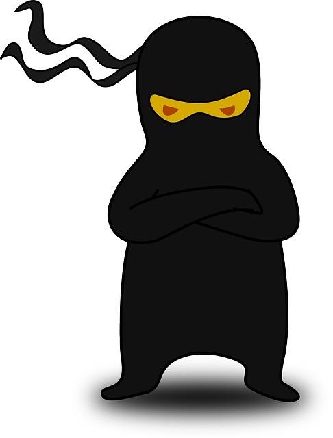 Picture of a young Ninja wearing a black suit