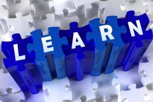 Piecing Together The Puzzle Of Your Ultimate eLearner Profile