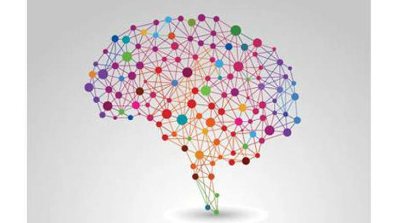 Brain Facts The Full Book