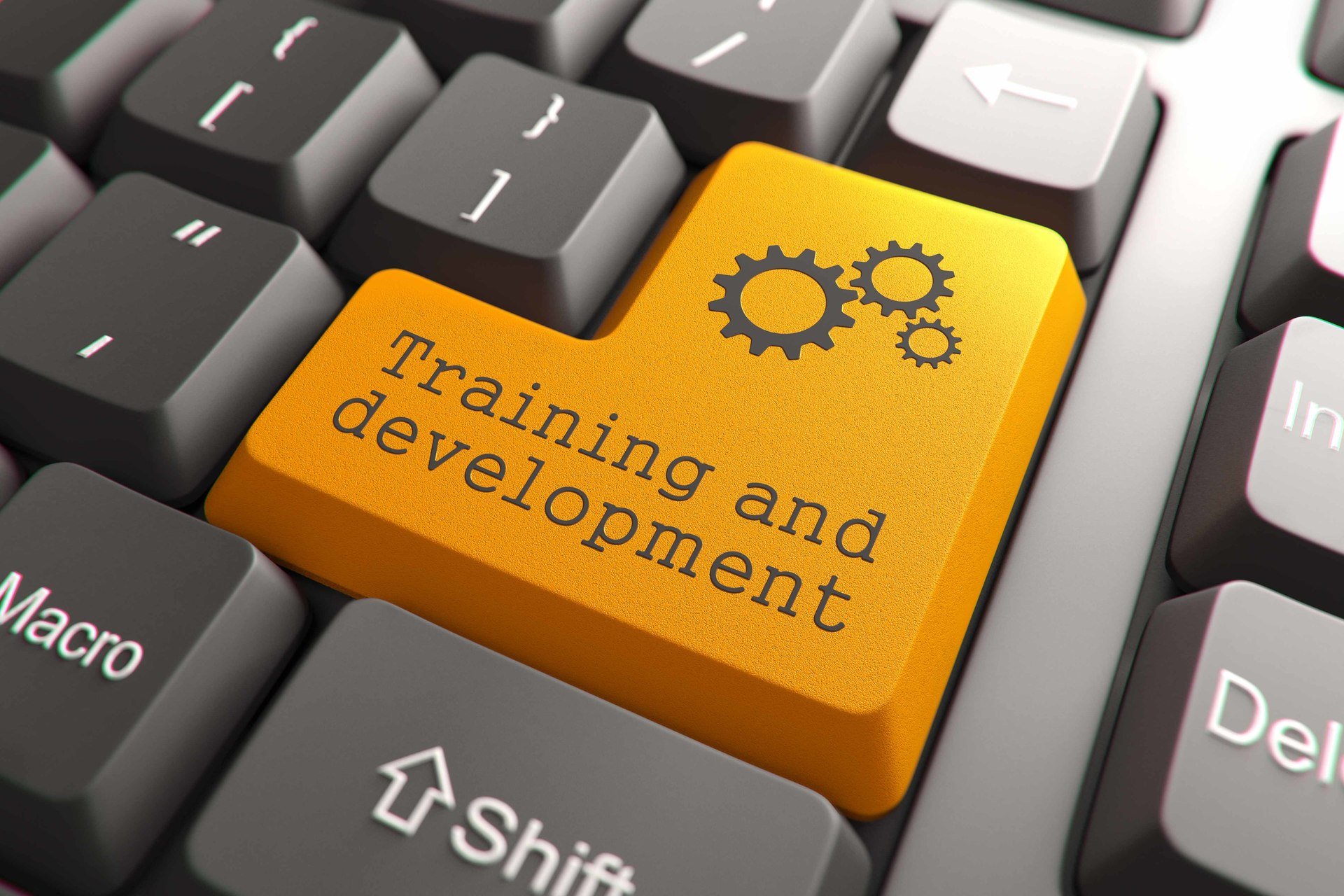 Top 6 Tips To Effectively Analyze Your Companys Online Training Needs