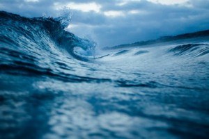 A New Wave Of Learning Management Systems