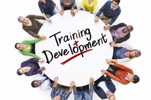 Learning And Development: Anyone Can Do It… Right?