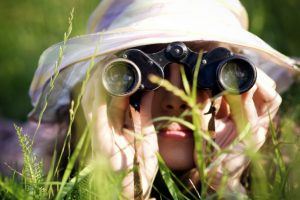 10 Tips To Help You Find The Right eLearning Development Company