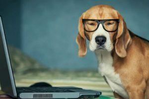 5 Tips To Use Classical Conditioning In eLearning