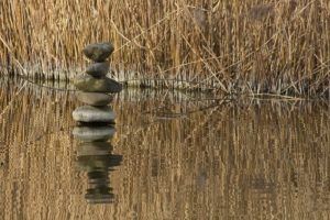 7 Tips To Balance Study, Work, And Personal Life