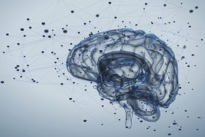 Information Processing Basics: How The Brain Processes Information