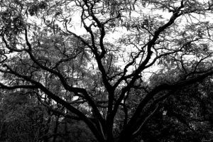 Learning Designers – How Spooky Are We?!