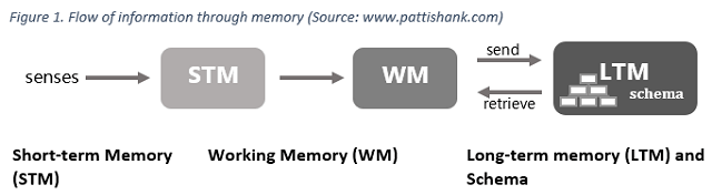 what is the process of memory from perception to retrieval what happens when the process is compromi Memory worksheet using the text, cognition: what is the process of memory from perception to retrieval what happens when the process is compromised after the brain receives and stores information. what is the process of memory from perception to retrieval what happens when the process is compromi Memory worksheet using the text, cognition: what is the process of memory from perception to retrieval what happens when the process is compromised after the brain receives and stores information.