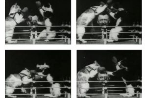 Galloping Horses To Boxing Cats: Movies In Education
