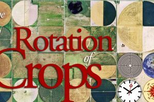 The Rotation Of Crops: Mindful Pivoting