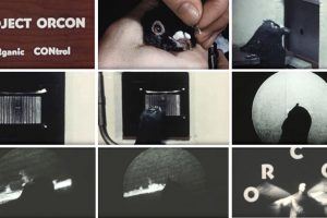 Skinner's Project Pigeon: One Of The First Teaching Machines