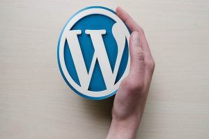 Top 5 Reasons Why You Must Have Premium WordPress Theme For Your Blog