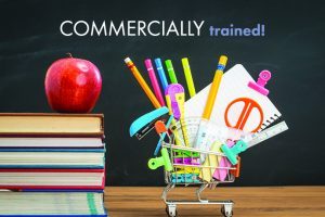 Set Up Shop: How To Create And Sell Courses With TalentLMS