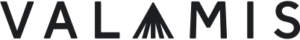 Logo Valamis Learning Solution