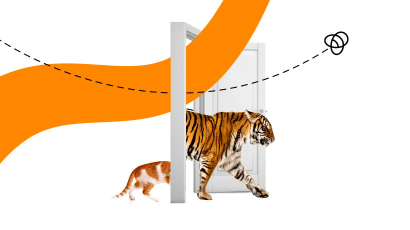 Performance Marketing Or Brand Marketing Do You Have To Choose? Ultimate Guide