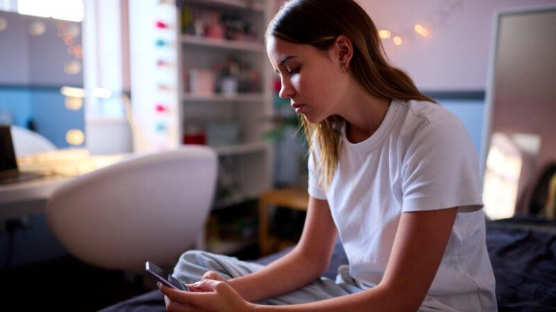 Does eLearning Make Students Susceptible To Cyberbullying