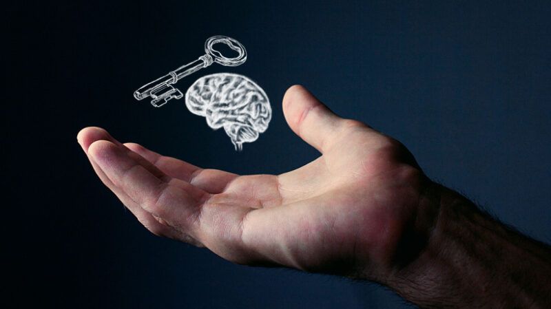 6 Long-Term Benefits Of Utilizing Neuroeducation For A Lifetime Of Learning