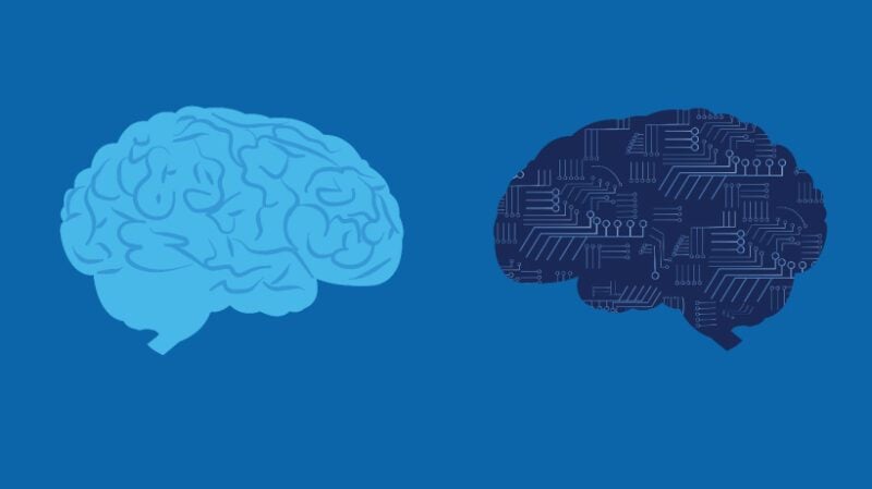 SMEs In The Age Of AI When Expertise Matters Most